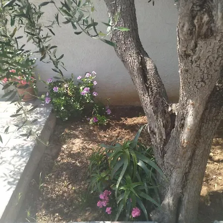 Al Centro Baia 招待所 马蒂纳塔